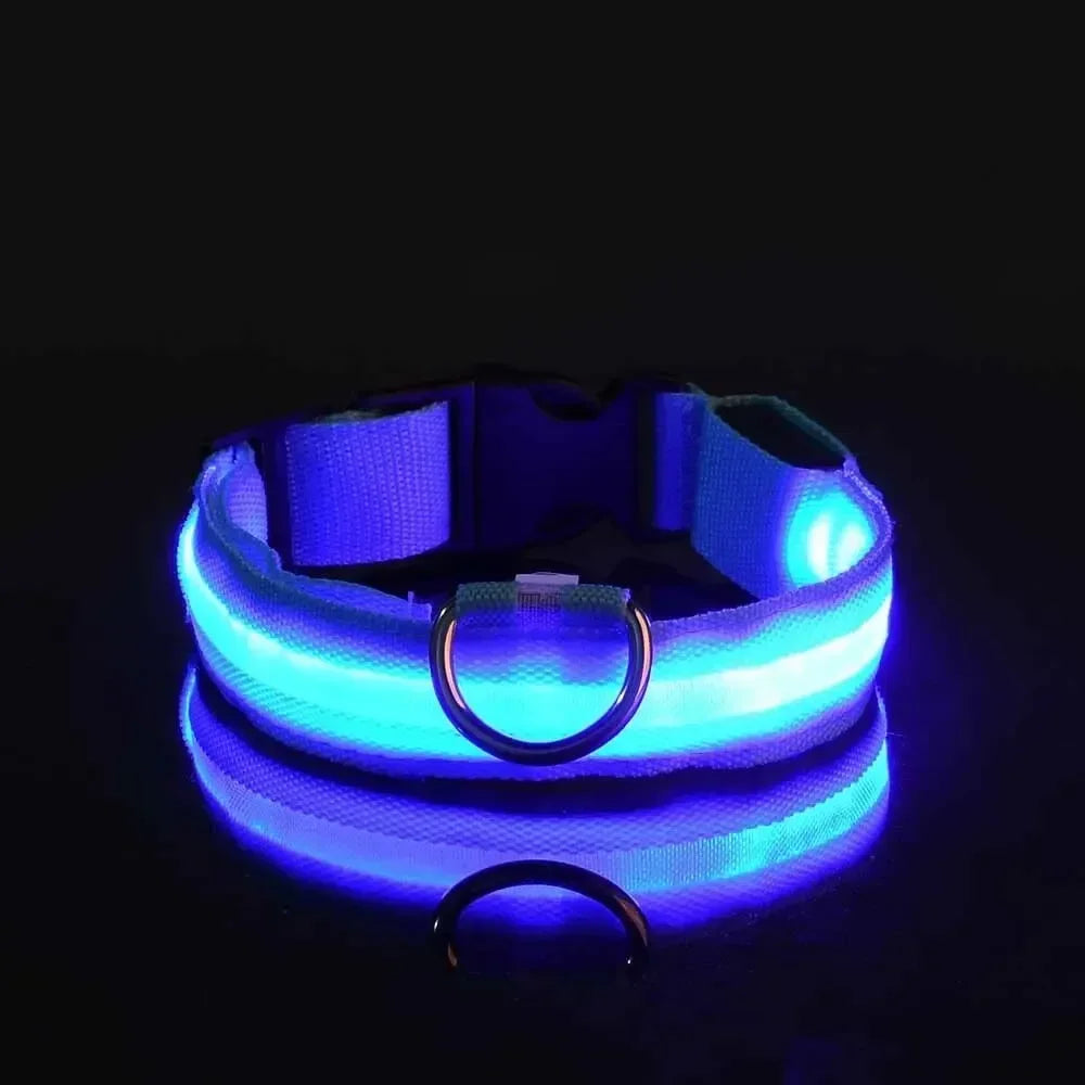 Light up Pet Collar Flashing Glow in the Dark