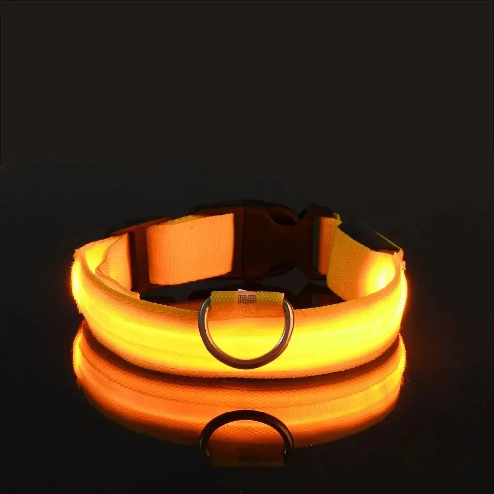 Light up Pet Collar Flashing Glow in the Dark