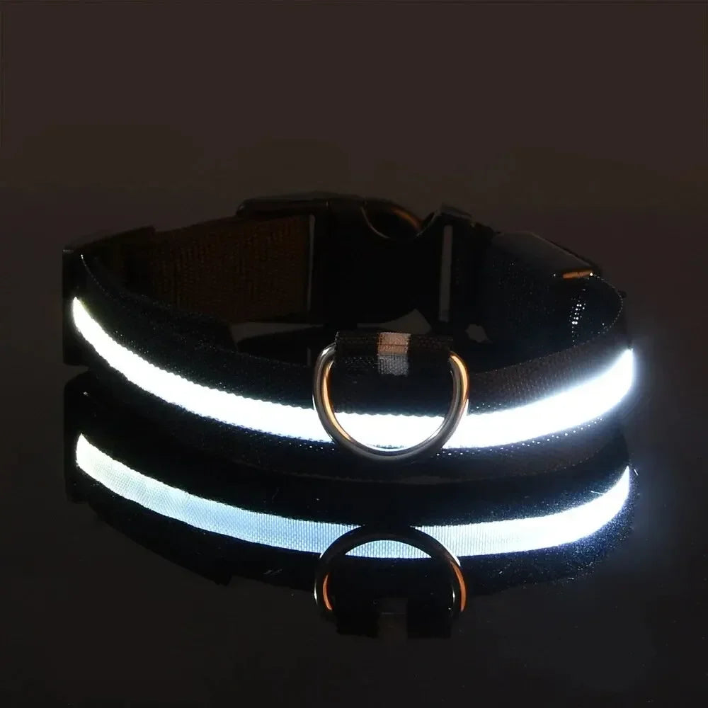 Light up Pet Collar Flashing Glow in the Dark