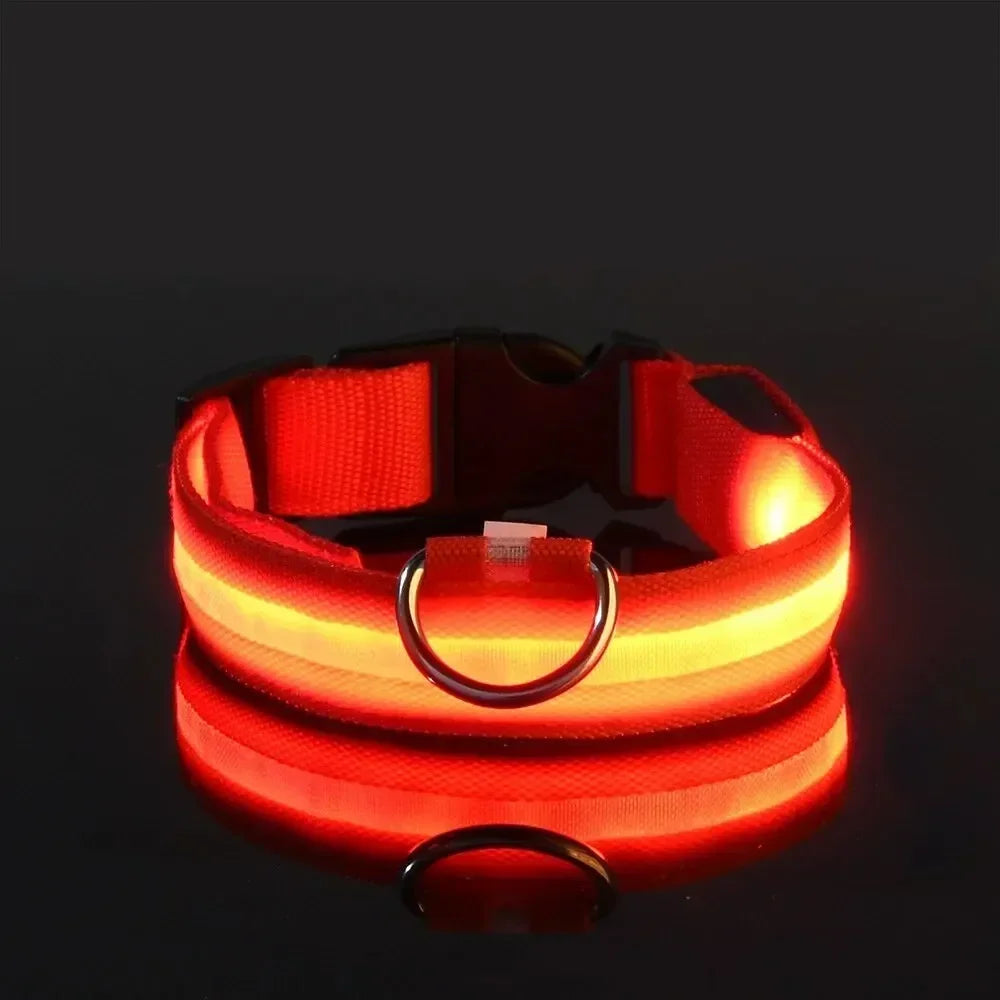 Light up Pet Collar Flashing Glow in the Dark