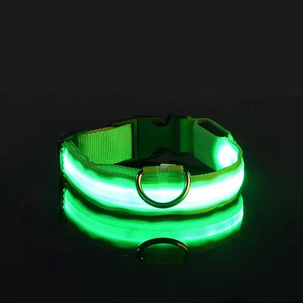 Light up Pet Collar Flashing Glow in the Dark