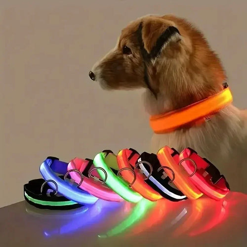 Light up Pet Collar Flashing Glow in the Dark