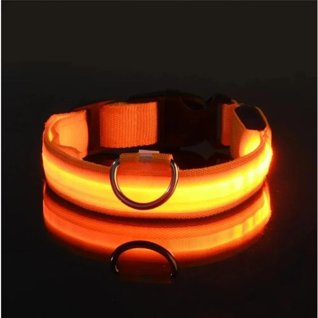 Light up Pet Collar Flashing Glow in the Dark