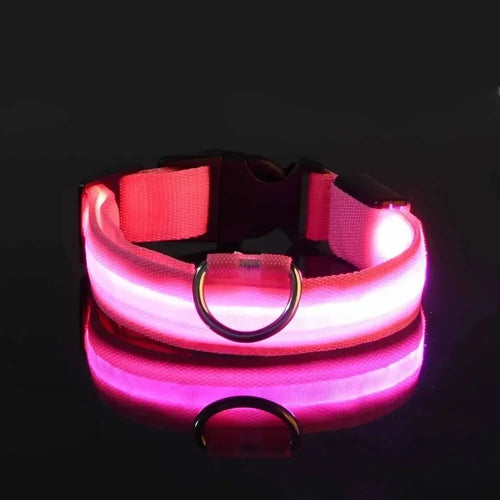 Light up Pet Collar Flashing Glow in the Dark